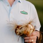 Sweet Onion Batter Mix - 16 Oz Box