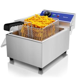 DULONG Stainless Steel Electric Deep Fryer with Control