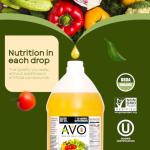 AVO Organic 100% Vegetable Oil, 64 Fl Oz
