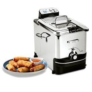 Stainless Steel Deep Fryer with Digital Timer