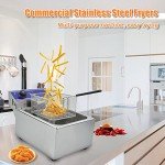 DULONG Stainless Steel Electric Deep Fryer with Control