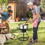 VIVOHOME 10Qt Aluminum Fish Fryer Pot & Basket