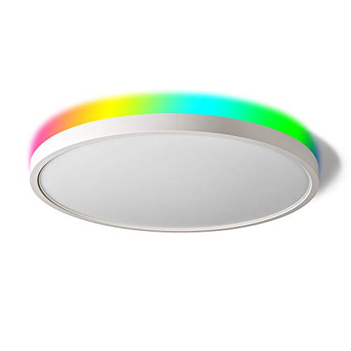 TALOYA Smart Ceiling Light Flush Mount LED WiFi