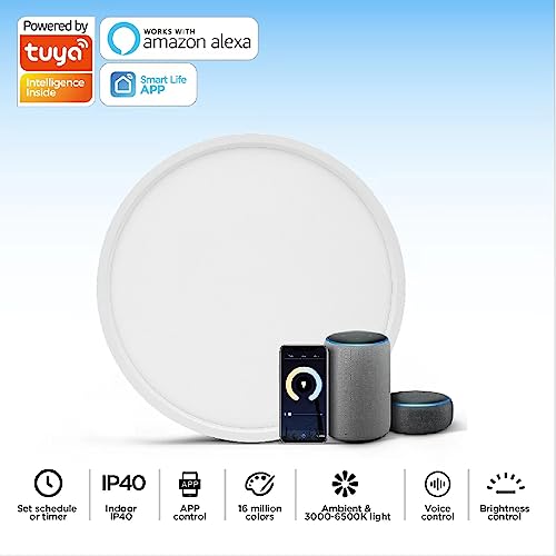 TALOYA Smart Ceiling Light Flush Mount LED WiFi
