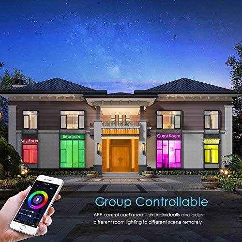 TALOYA Smart Ceiling Light Flush Mount LED WiFi