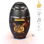 TWS Bluetooth Outdoor Speakers with Tiki Torch Lights