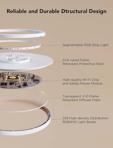 RGBIC Smart Ceiling Light with Alexa Control, 16M Colors