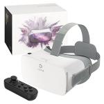 DESTEK V5 VR Headset with Controller - White