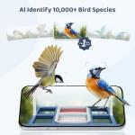 Smart Bird Feeder with Camera and Solar Power