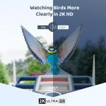 Smart Bird Feeder with Camera and Solar Power