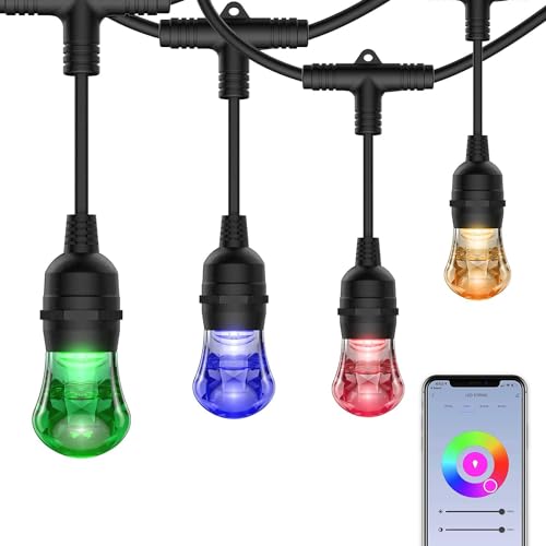 Smart Color String Lights: Alexa & Google Compatible