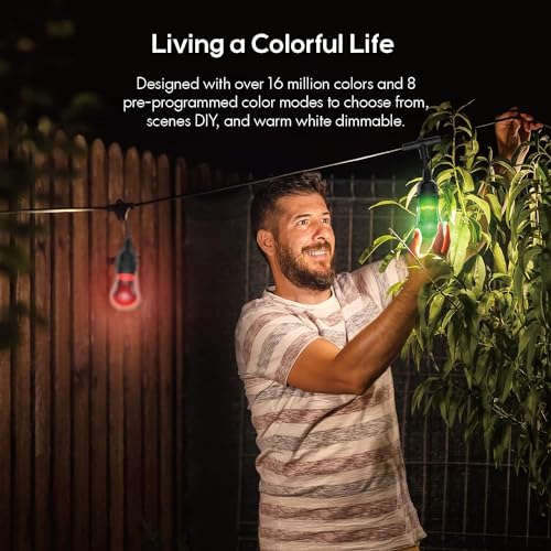 Smart Color String Lights: Alexa & Google Compatible