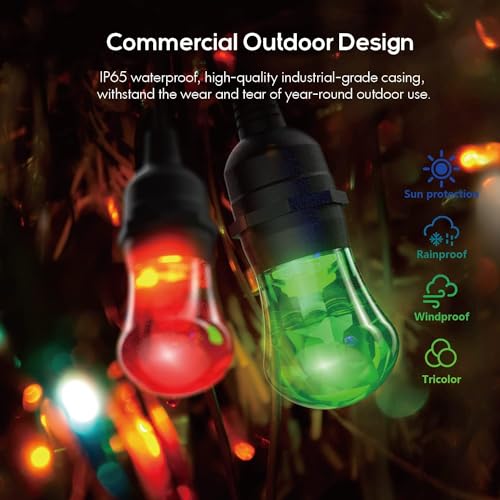 Smart Color String Lights: Alexa & Google Compatible