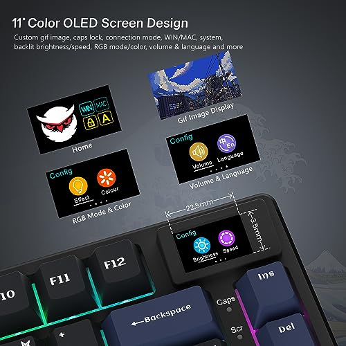 Womier S-K80 Mechanical Gaming Keyboard with Color Display