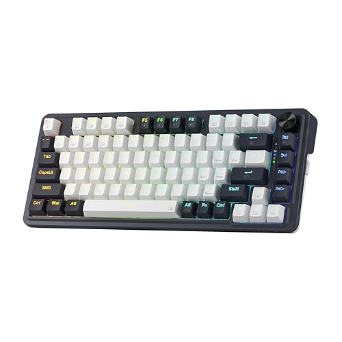 Redragon K673 PRO Wireless Gasket RGB Gaming Keyboard