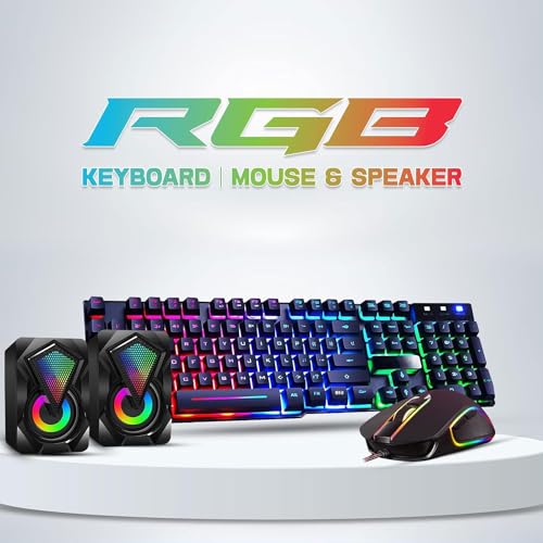 HP ProDesk RGB Desktop PC with Dual Monitors