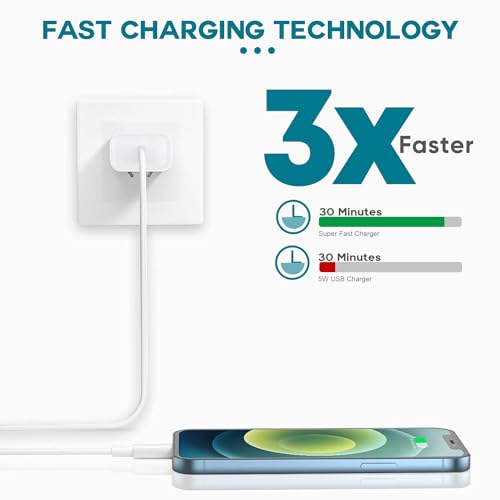 2Pack Fast iPhone Charger with 6FT Type-C Cables