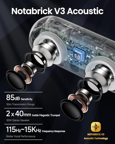 30W Portable Bluetooth Speakers with Light and IPX7 Waterproof