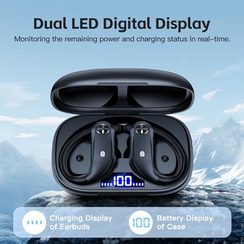 Wireless Earbuds Bluetooth Headphones 80Hrs Playback Sport Ear Buds with LED Display Charging Case IPX7 Waterproof Earphones with Mic & Earhook In Ear Headsets for TV Phone Workout Running Black