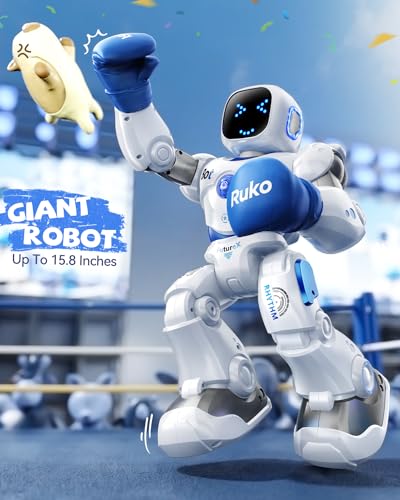 Ruko 1088 Interactive Programmable Smart Robot