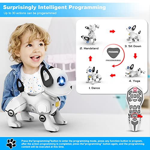 SUPIREO Interactive Remote Control Robot Dog Toy