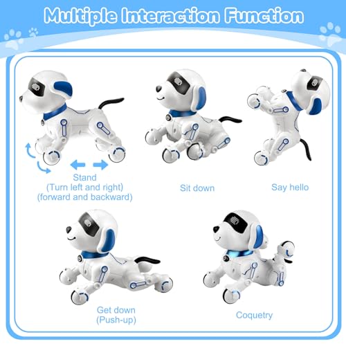 Remote Control Robot Dog Toy for Kids