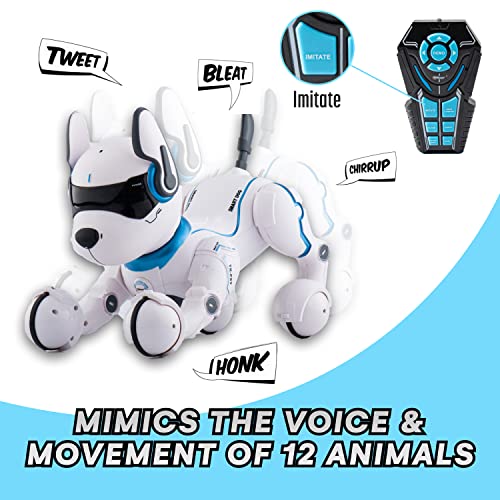 Programmable Remote Control Robot Dog Toy