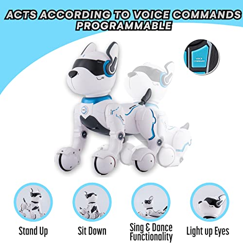Programmable Remote Control Robot Dog Toy
