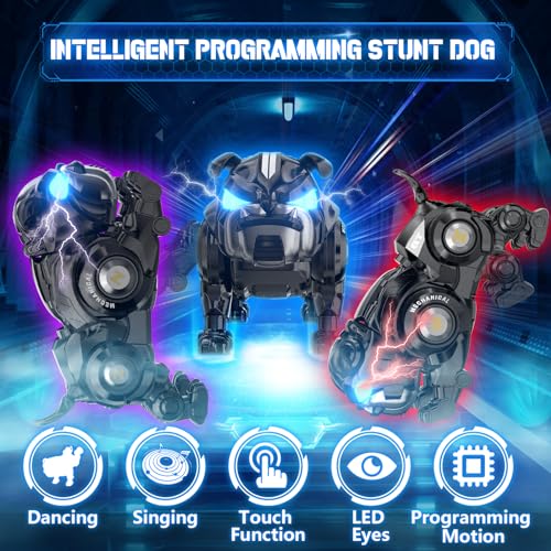 Programmable Singing Robot Dog Toy for Kids