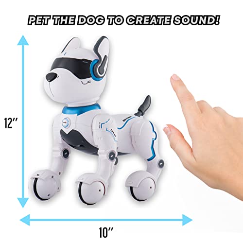 Programmable Remote Control Robot Dog Toy
