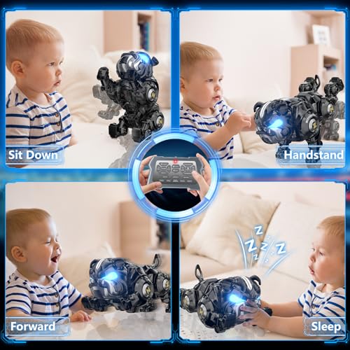 Programmable Singing Robot Dog Toy for Kids