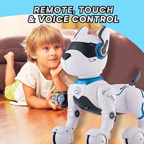 Programmable Remote Control Robot Dog Toy