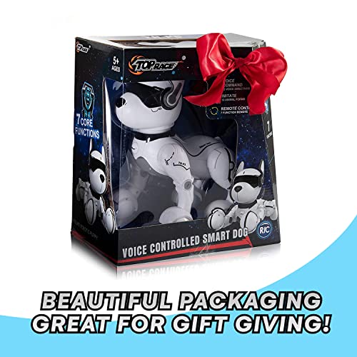 Programmable Remote Control Robot Dog Toy