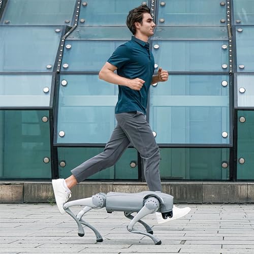 Unitree Go2 Pro: AI Robot Dog Companion