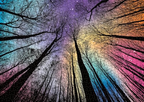 Challenging 1000 Piece Gradient Jigsaw Puzzle for Adults