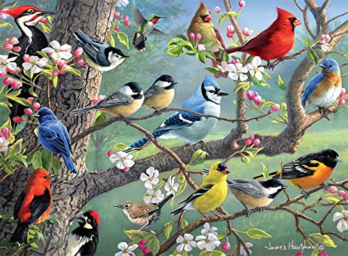 Hautman Brothers Birds in Orchard Puzzle - 1000 Pieces