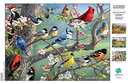Hautman Brothers Birds in Orchard Puzzle - 1000 Pieces