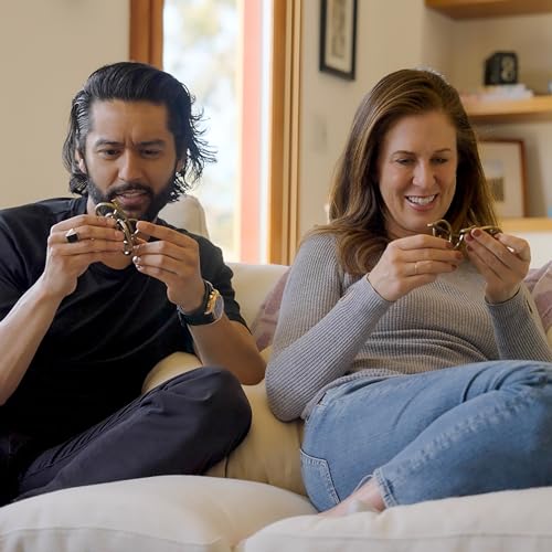 Labyrinth Hanayama Metal Brainteaser Puzzle for Ages 12+