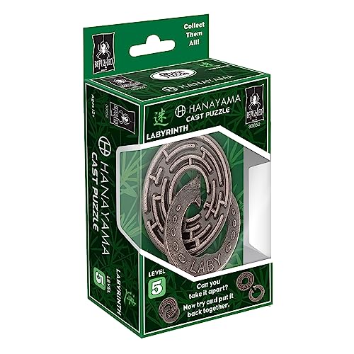 Labyrinth Hanayama Metal Brainteaser Puzzle for Ages 12+