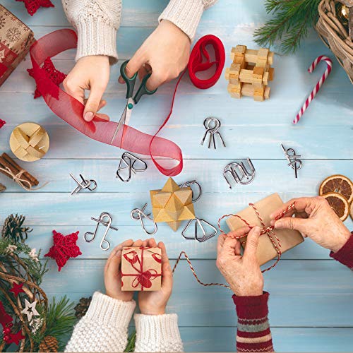 3D Brain Teaser Educational Puzzle Game for Kids & Adults