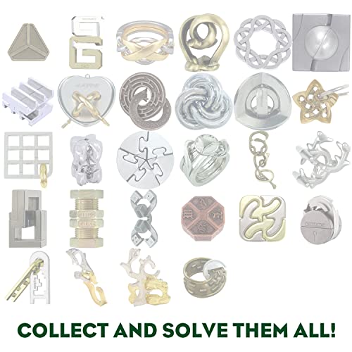 Planet Hanayama Metal Brain Teaser Puzzle | Level 4