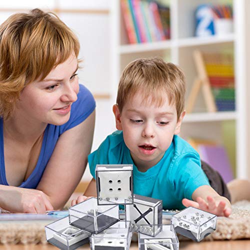 12Pcs IQ Maze Game Puzzle Boxes for Kids & Adults