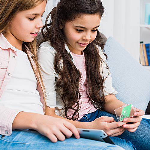 Balance IQ Maze Game Mini Fidget Puzzle 12Pcs