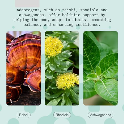 Refresh & Relax with Ashwagandha, Rhodiola, & Reishi Drink