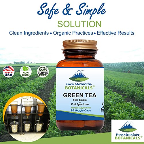 Organic Green Tea Capsules - 90 Vegan Caps