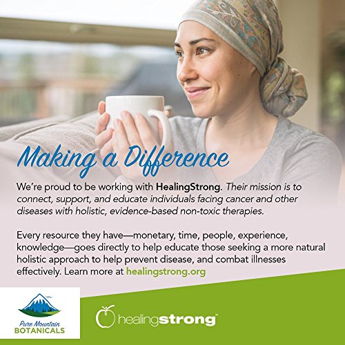 Organic Green Tea Capsules - 90 Vegan Caps