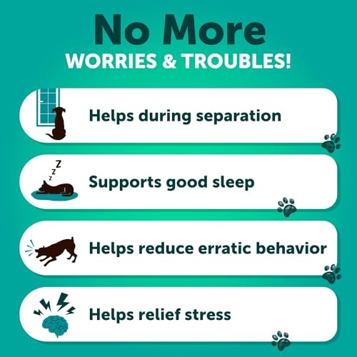 Hemp Calming Chews for Dog Anxiety Relief