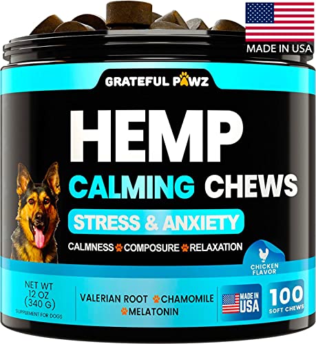 CBD Calming Chews Treats for Dog Anxiety Relief
