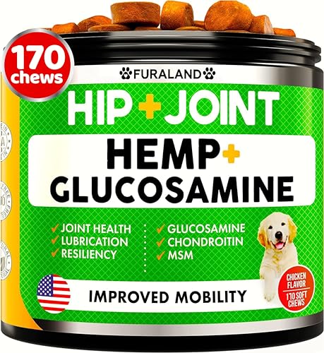 USA Made Hemp Hip & Joint Dog Supplement