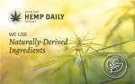 Intensive Hemp Cream with Essential Oils | Organic, Vegan | 1.7oz (Lavender)